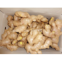 Air Dry Ginger